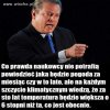 Polityka