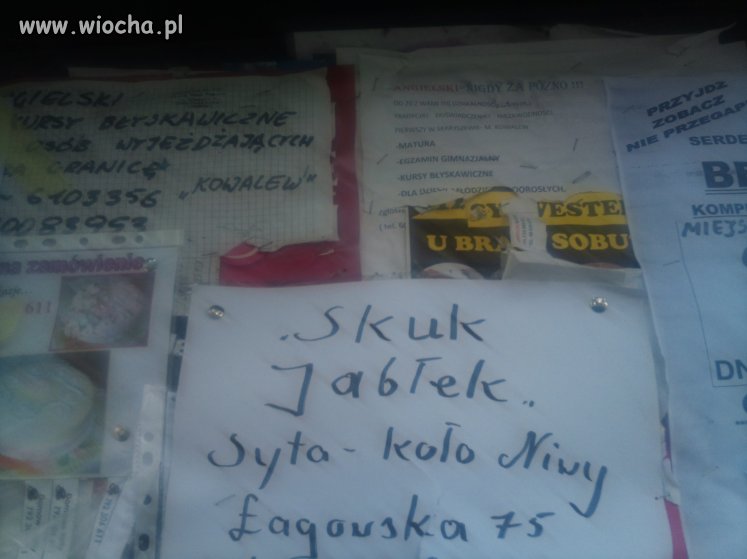 SKUKUJĄ JABŁKA