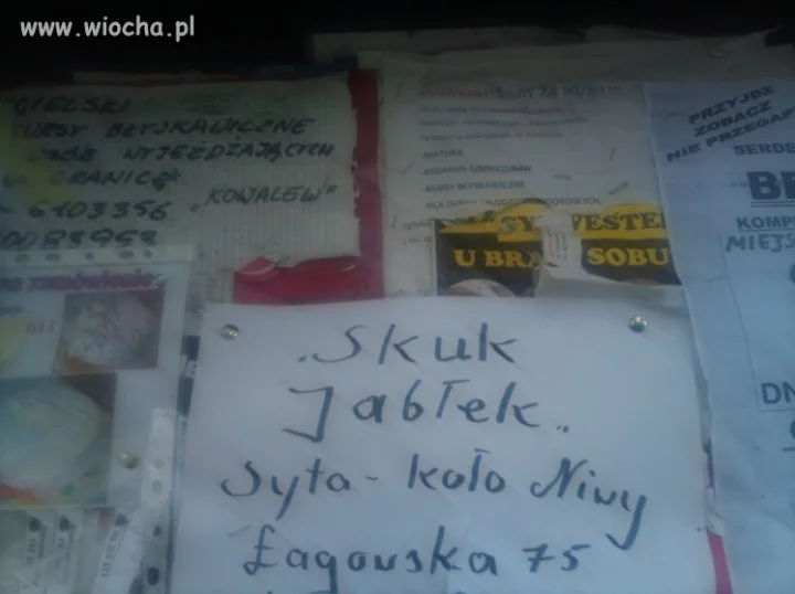 SKUKUJĄ JABŁKA