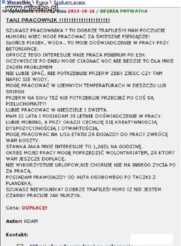 Szukam Pracy