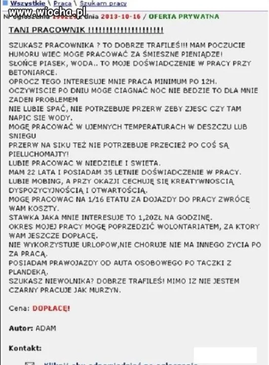 Szukam Pracy