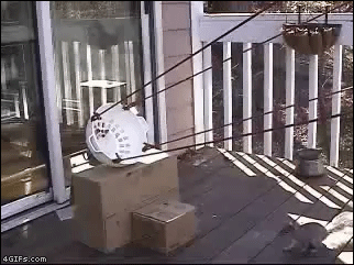 FLY like an eagle