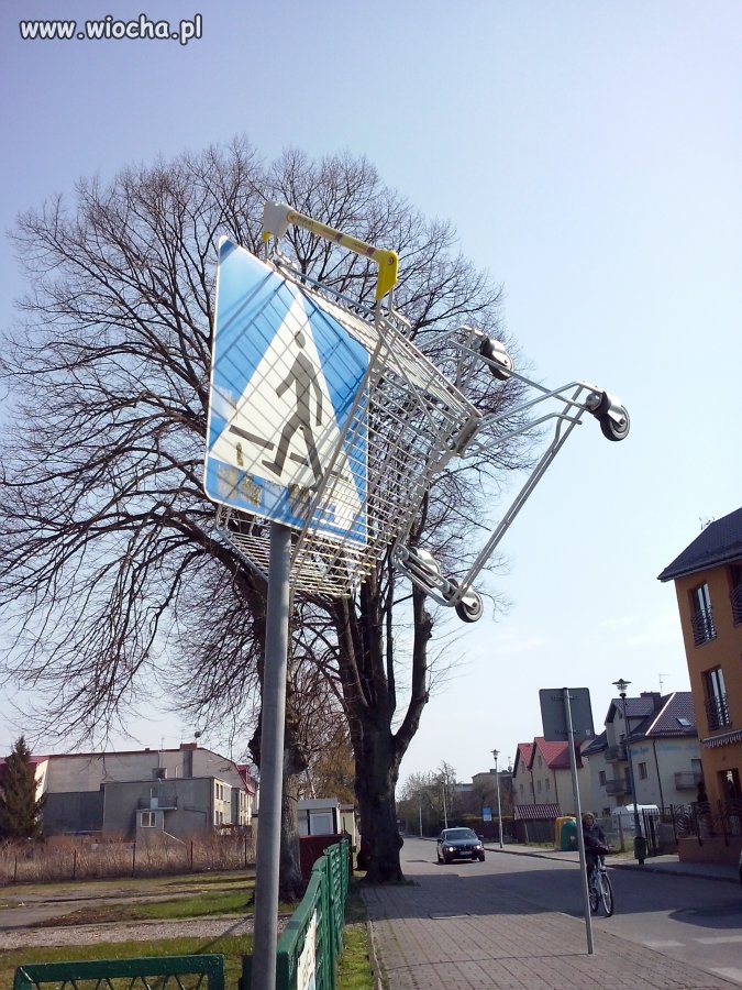 Polak potrafi