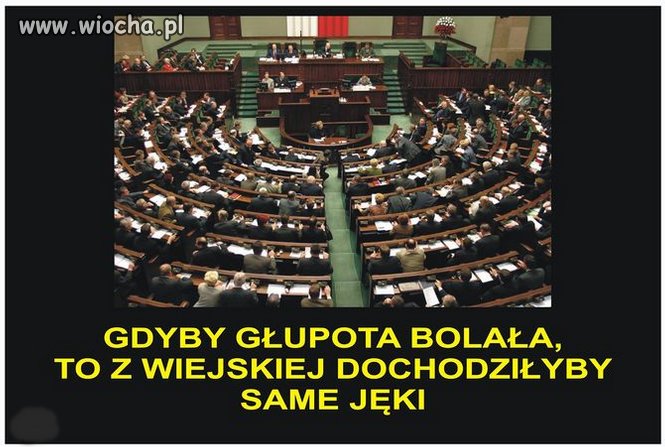 Ale głupota nie