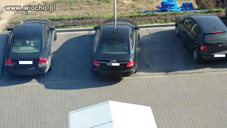 Miszcz parkowania ...
