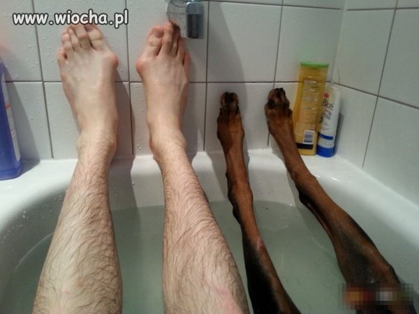 Kąpiel z psem