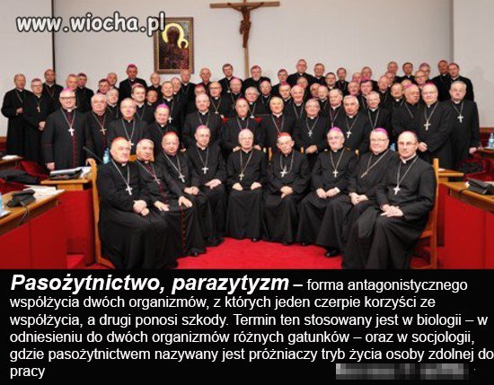 Pasożytnictwo