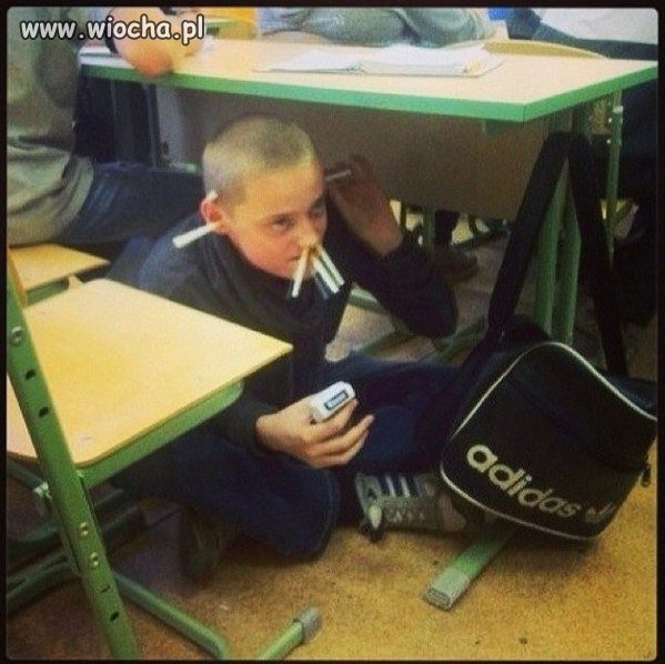 Idiotów nie sieją...