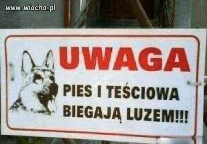 Uwaga
