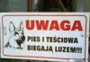 Uwaga