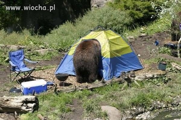 Hallo!Ukraino jesteś tam?