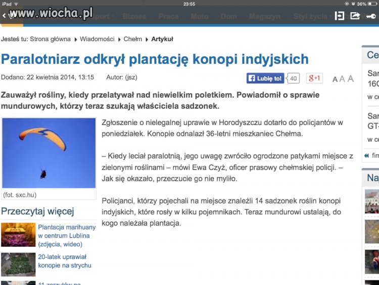 Ormowiec?