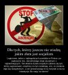 Polska kraj absurdów