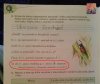 Ortografia na wesoło w 3 klasie 