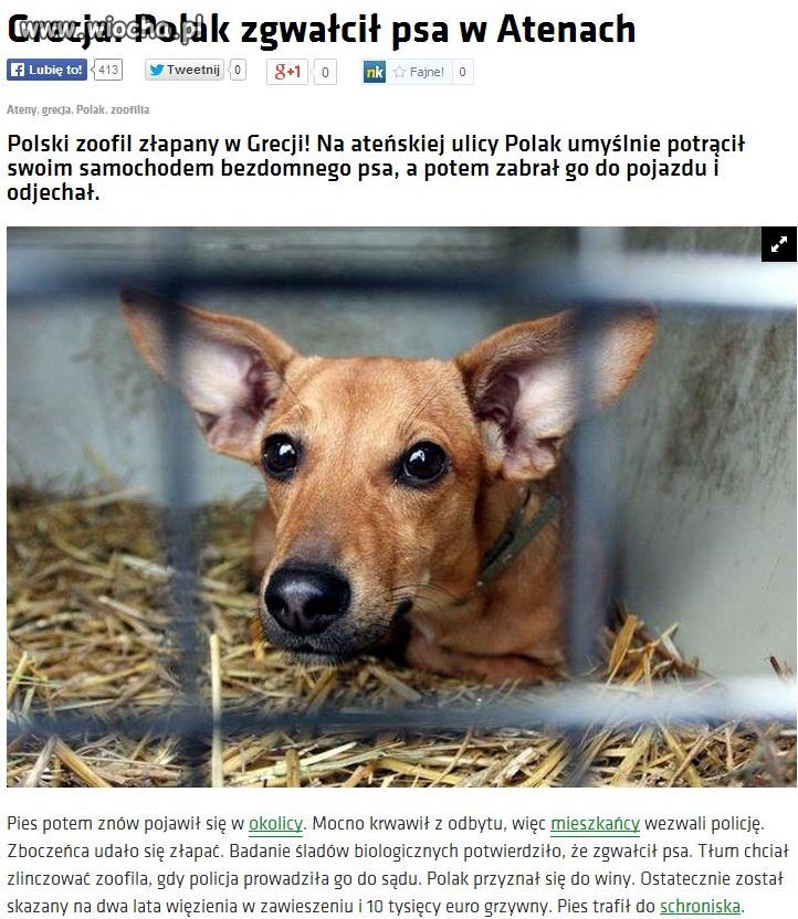 Nasz rodak zgwałcił psa. Tłum go prawie zlinczował
