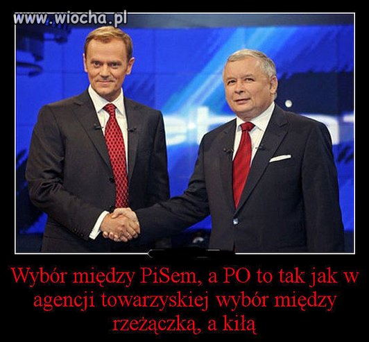 A wy co wybieracie?