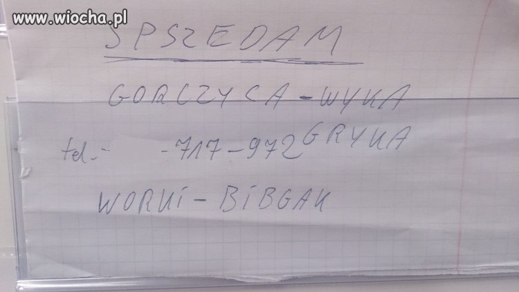 Ortografia