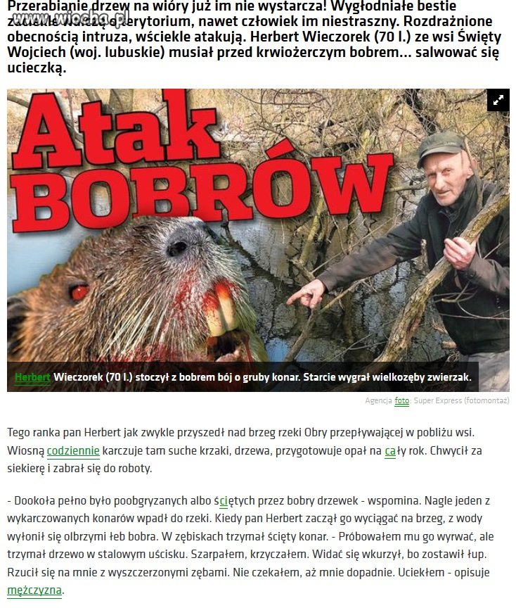 Były krwiożerzcze kraby, teraz są bobry