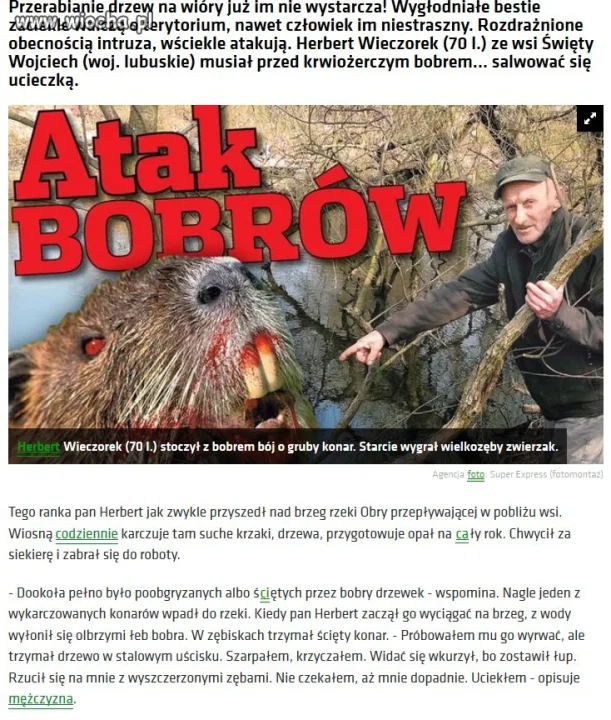 Były krwiożerzcze kraby, teraz są bobry