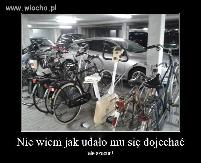 Trening