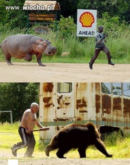 Afryka vs Rosja