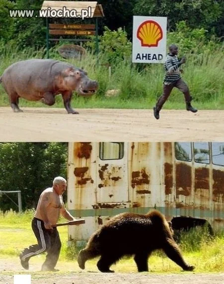 Afryka vs Rosja