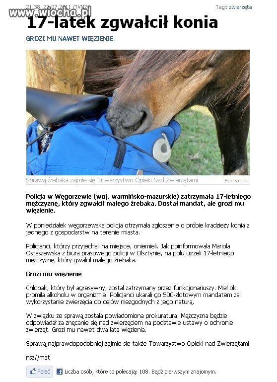 Chyba słowa "zwalić konia" 