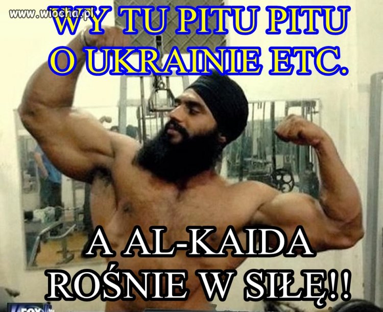 Al-Kaida umacnia się w takich krajach jak: