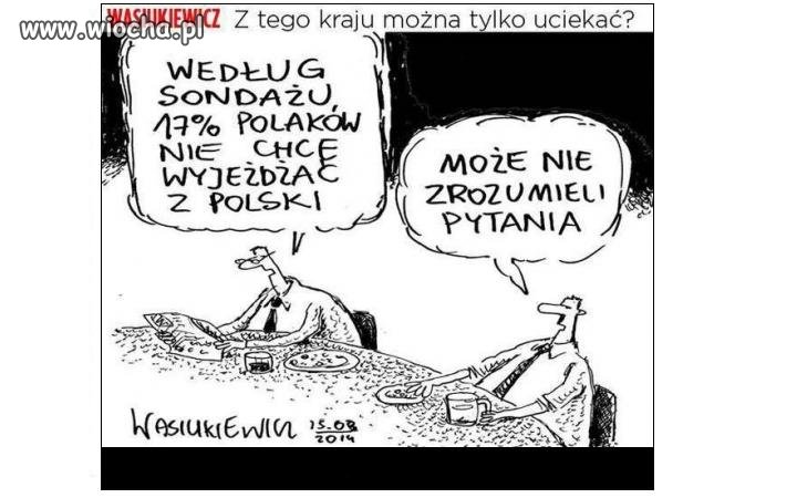 17% POLAKÓW...