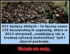 Trudna sytuacja materialna posłów...