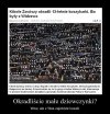 Po prostu zostawić ich związanych w odpowiedniej dzielnicy
