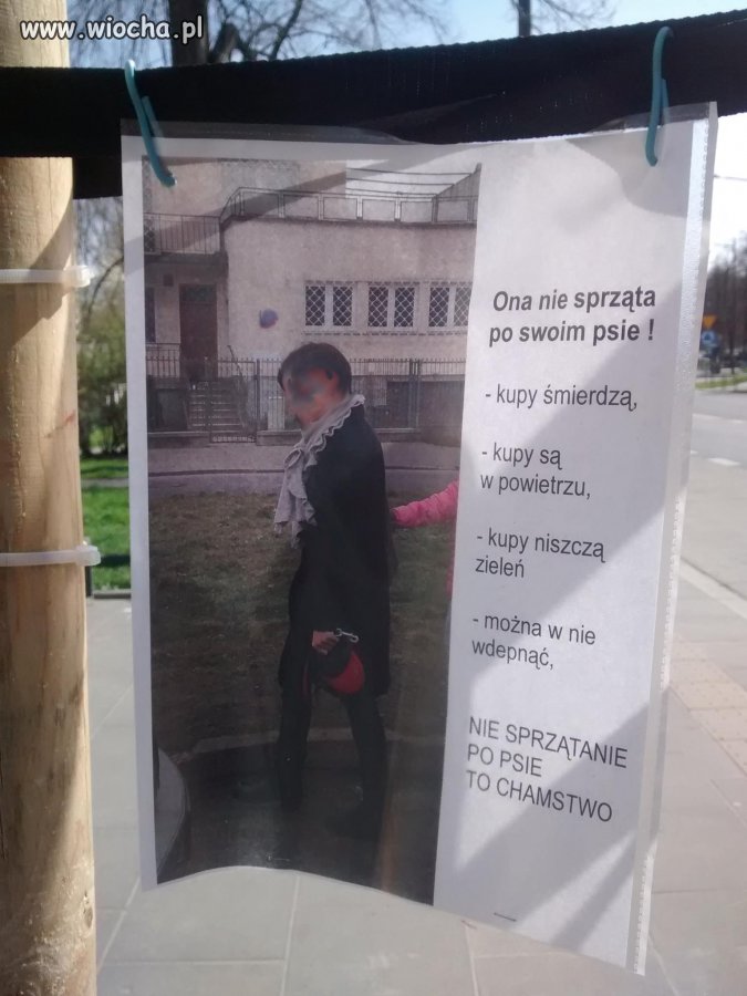 Sprzątnij, bo zrobimy ci fotkę
