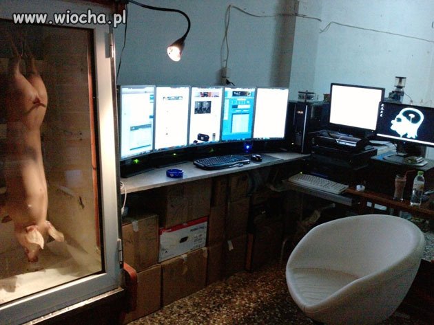 Pracownia admina - komputery, catering...