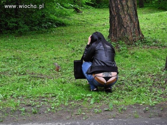 O wiewiórka ...