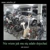 Parking dla rowerów