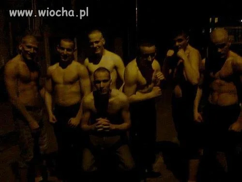 Typowe leszcze 