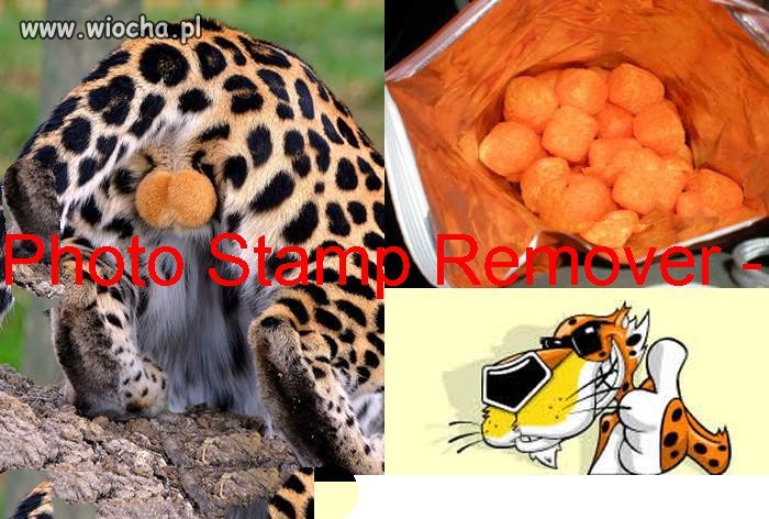I już wiesz skąd biorą się cheetosy