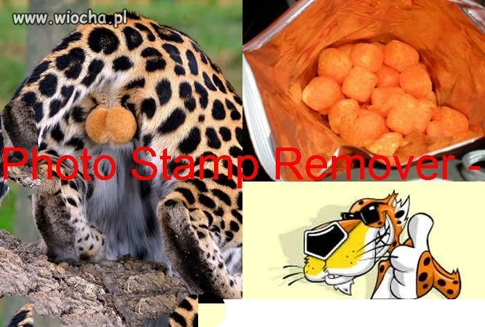I już wiesz skąd biorą się cheetosy