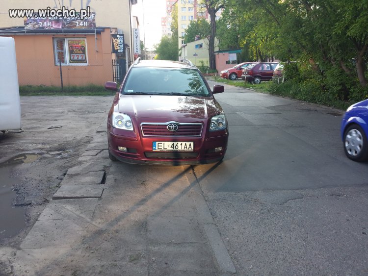 Miszcz parkowania