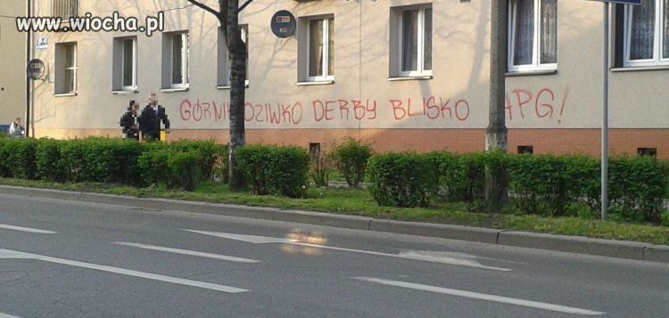 Świadectwo mądrości "kibiców"