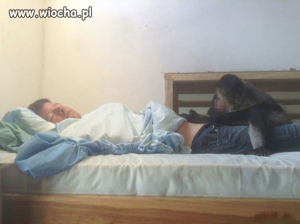 Takie tam z małpką