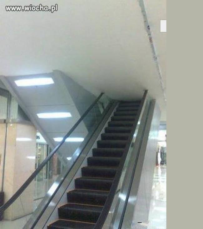 Dzisiejsi architekci...