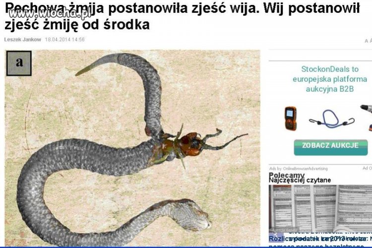 Bo trzeba umieć 