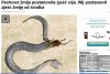 Bo trzeba umieć 