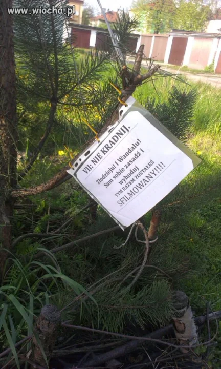 Wiocha dla złodzieja