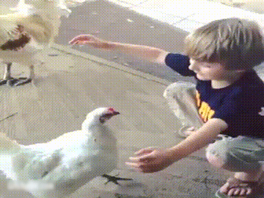No chodź