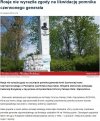 Napoje gazowane w Auschwitz - źle ?