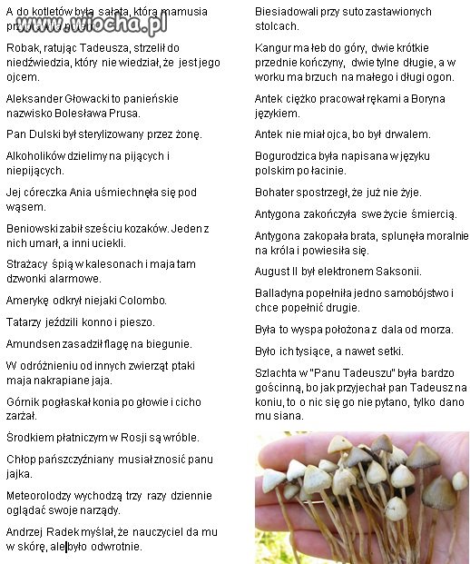 Cytaty z matur. Nie wierzę, że powstały bez