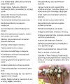 Cytaty z matur. Nie wierzę, że powstały bez