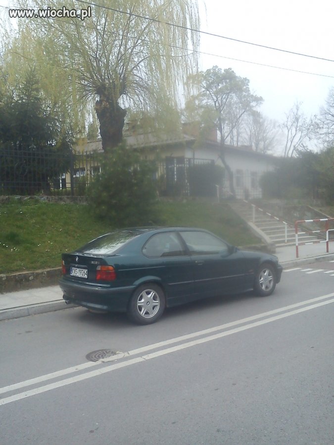 Mistrzyni parkowania. Stary Sącz